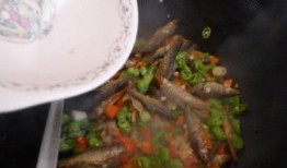 蚝油小鱼爆料图片高清视频,蚝油小鱼幕后爆料，独家视频带你一探究竟