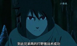 看了佐助爆料的视频,忍者世界背后的惊人真相